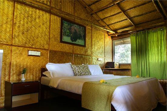 Inn The Wild, Masinagudi 1